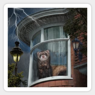 A Stormy Night Ferret - Window Ferrets art Sticker